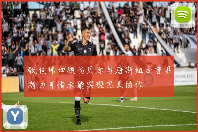 张佳玮回顾戈贝尔与唐斯组合曾具潜力可惜未能实现完美协作